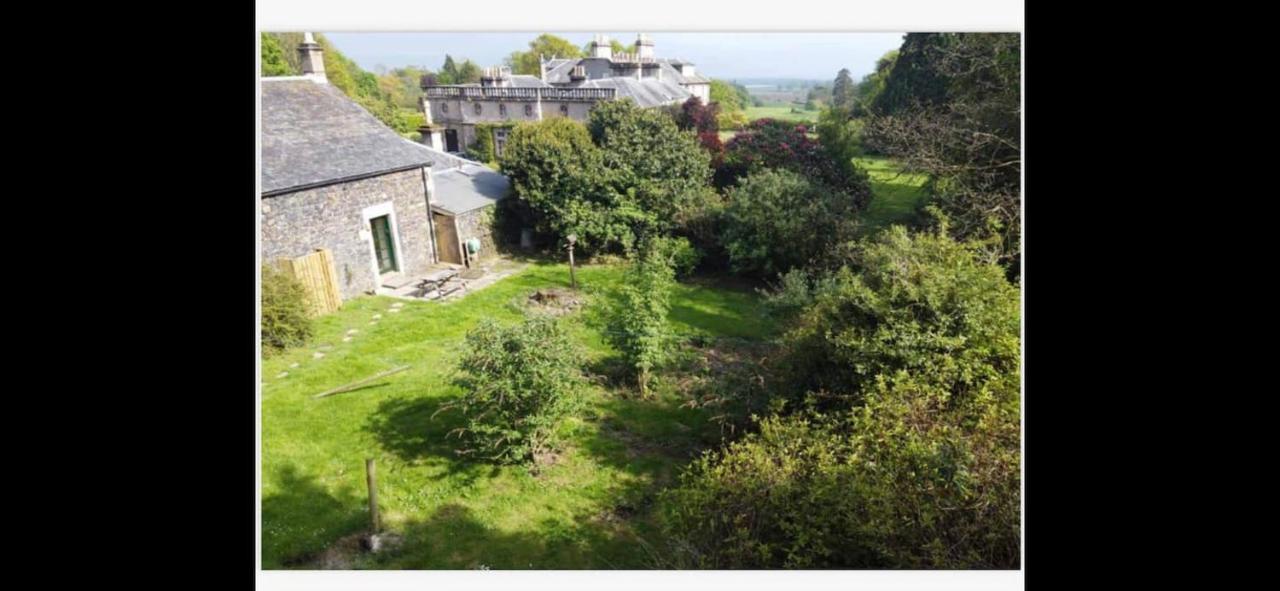 Woodland Cottage Charleton Estate Colinsburgh المظهر الخارجي الصورة
