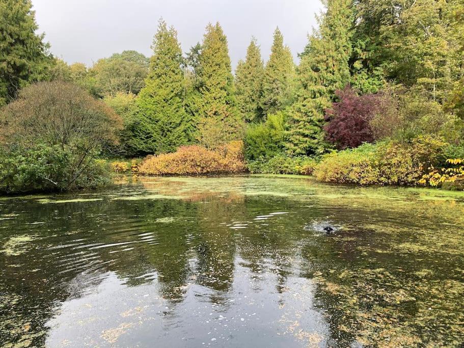 Woodland Cottage Charleton Estate Colinsburgh المظهر الخارجي الصورة
