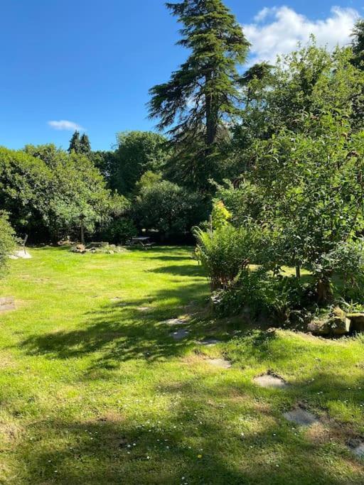 Woodland Cottage Charleton Estate Colinsburgh المظهر الخارجي الصورة
