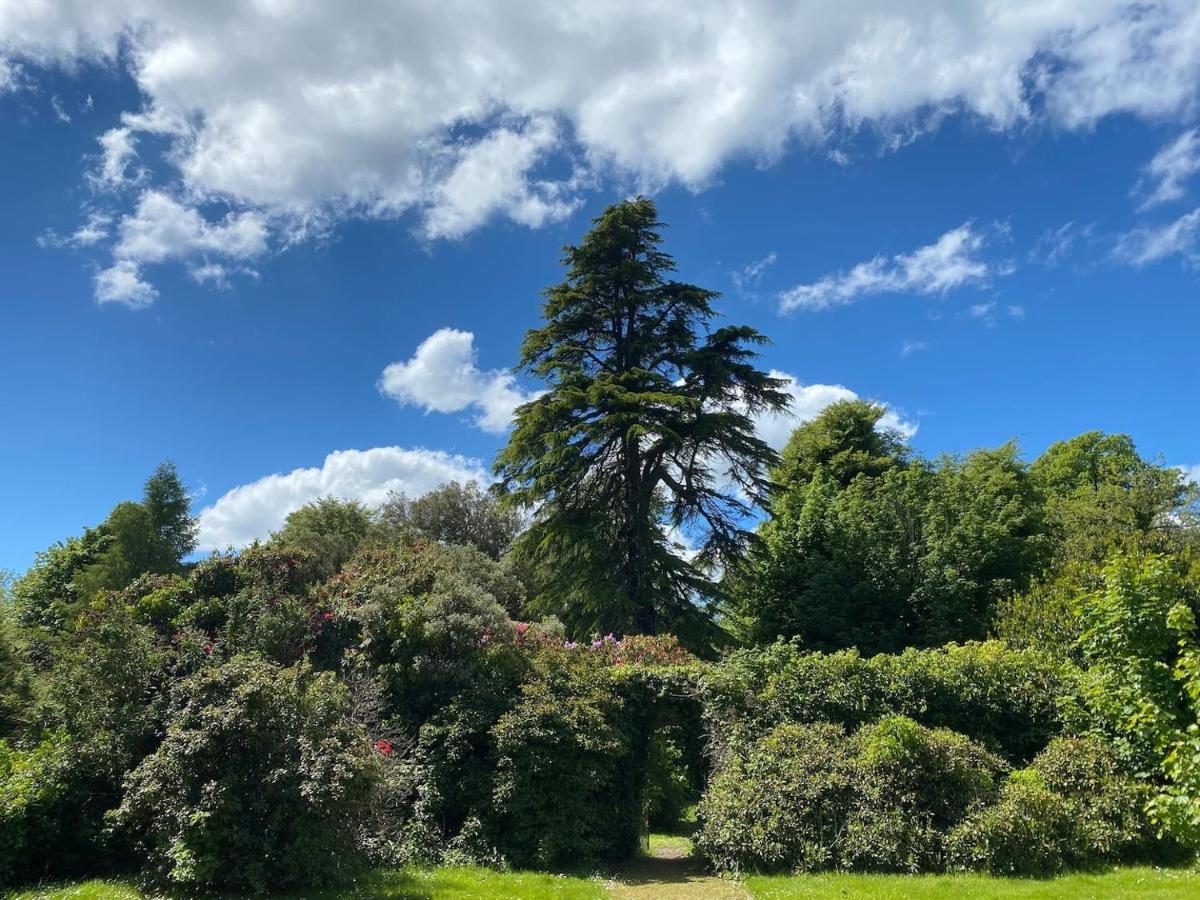 Woodland Cottage Charleton Estate Colinsburgh المظهر الخارجي الصورة